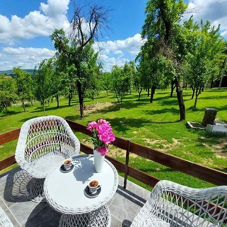 Вілла Vikendica Gaj Горні-Мілановац Екстер'єр фото