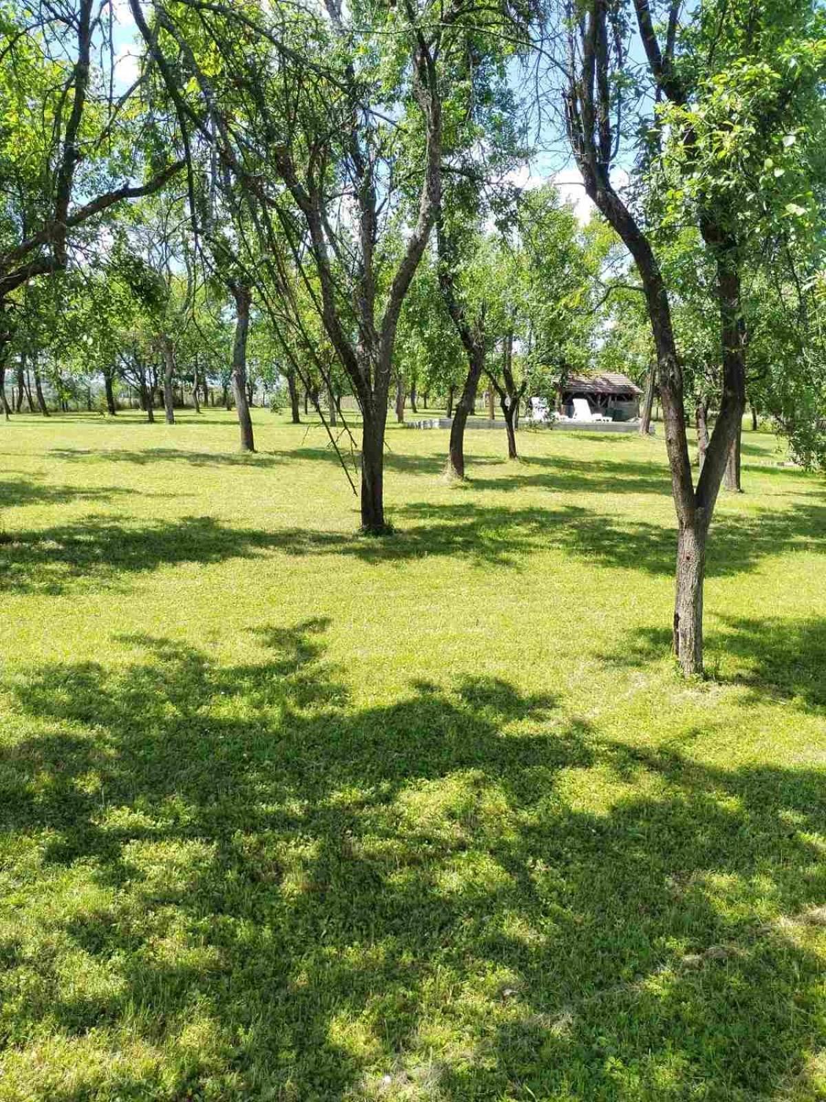 Вілла Vikendica Gaj Горні-Мілановац Екстер'єр фото